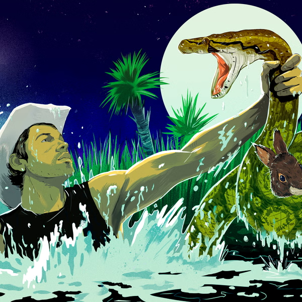 SportsBet_Legal's tweet image. #FloridaPythonChallenge
Length of the longest python caught
🐍 Over 16.5 Longest Python Feet -120
🐍 Under 16.5 Longest Python Feet -120
👉 sportsbetting.legal/news/legally-b…