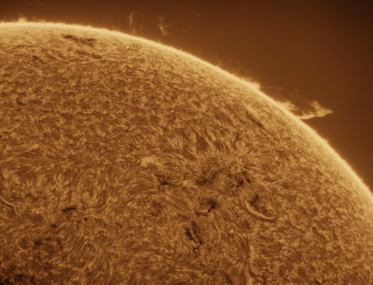 MBerto7's tweet image. Sesión solar de hoy (09-07-2025)
Había algo de actividad en los dos limbos. Veremos si vuelve a aumentar el número de manchas en los próximos días.

Long Perng 80 f6.25
Daystar Quark chromosphere 
Player One Apollo-M Mini
Player One ERF S-Series
Svbony UV IR cut
