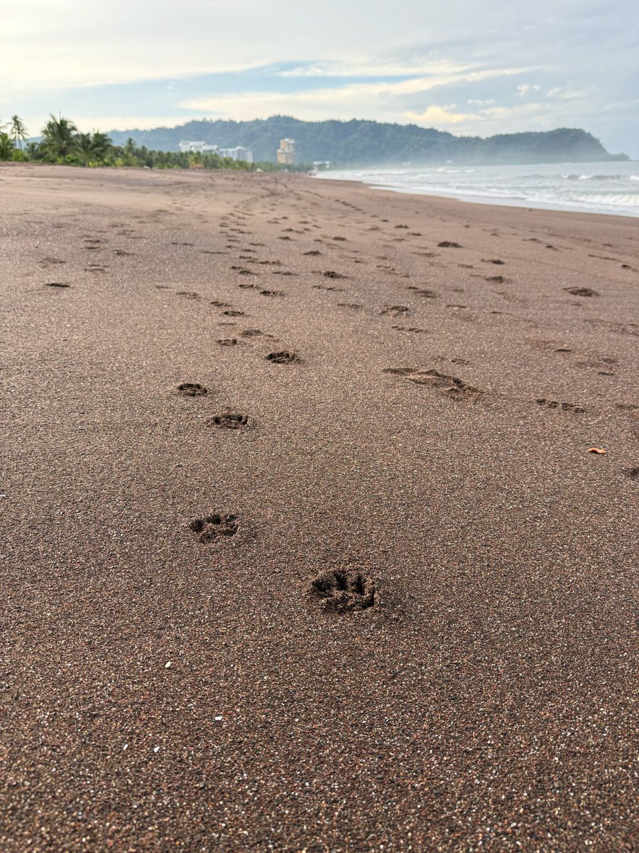 AidaTessa's tweet photo. I like the smell of the sea, and I also like the way you look at the beach. #PositiveEnergy #Heart #Kindness #Loyalty #Trust #Power https://t.co/E342g8kBQ0