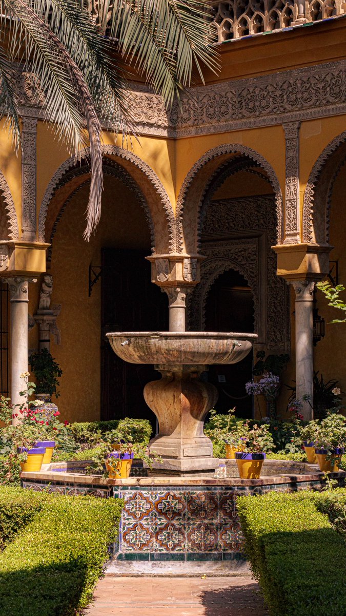 akr_tkn's tweet photo. Today i walked in Sevilla, Andalucia https://t.co/VvyZ3S4vwm