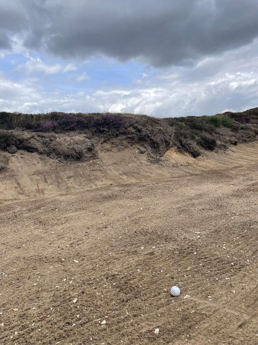 The Golf Guide tweet media