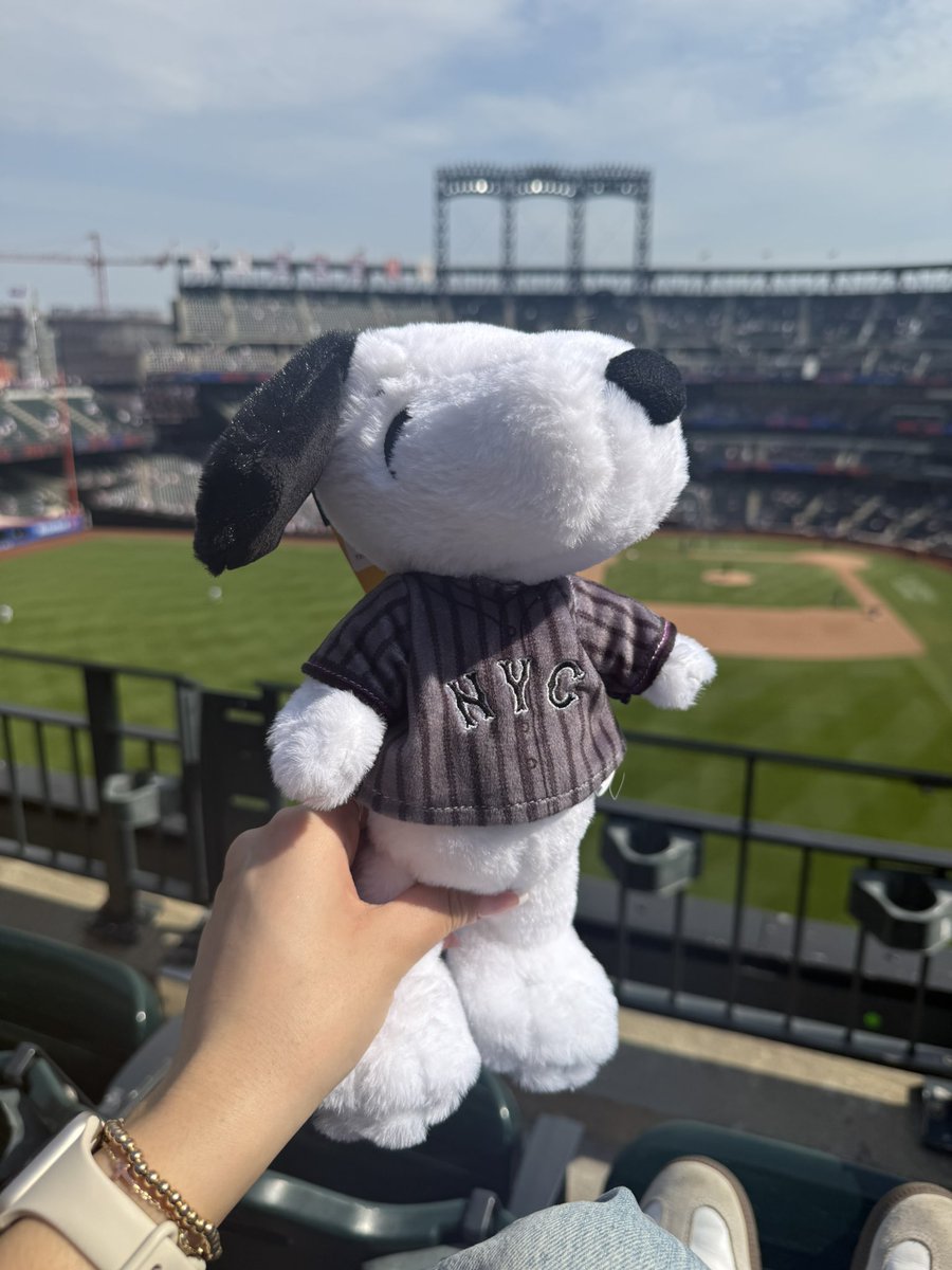 tim__64's tweet image. the mets are targeting a Certain Demographic i think (terminally online women)