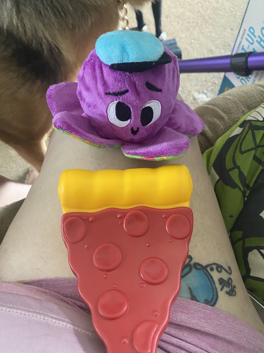 Countrylover129's tweet photo. Marine got his bark box today lol of course Diva gets treats too @Baldassano @FigmentFL @biga614 @YeahitsDon https://t.co/WrPjOOemPz