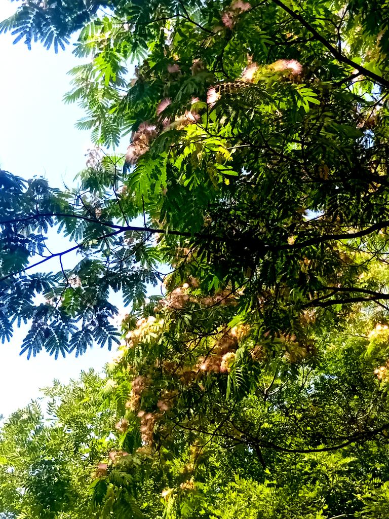 Катерина Галич tweet media