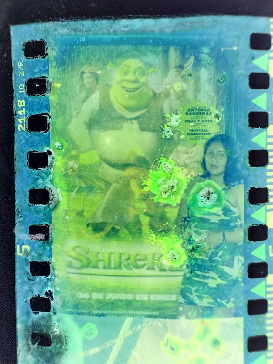 keylevel0's tweet photo. Mi madre fue al estreno de Shrek 2 😈 https://t.co/kuR77szKDv