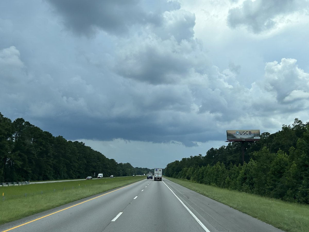 StormRider912's tweet image. Another incoming thunderstorm w/shelf overhead in Ridgeland, SC! Saw a beautiful scud short bit ago that came down with no rotation, couldn’t get pic. #SCwx #SCwxCond @NWSCharlestonSC @jnelsonWJCL @SheaGibsonWx @WSAVAlysaC @AndrewGortonWx @RadarScope @stormfrontfreak