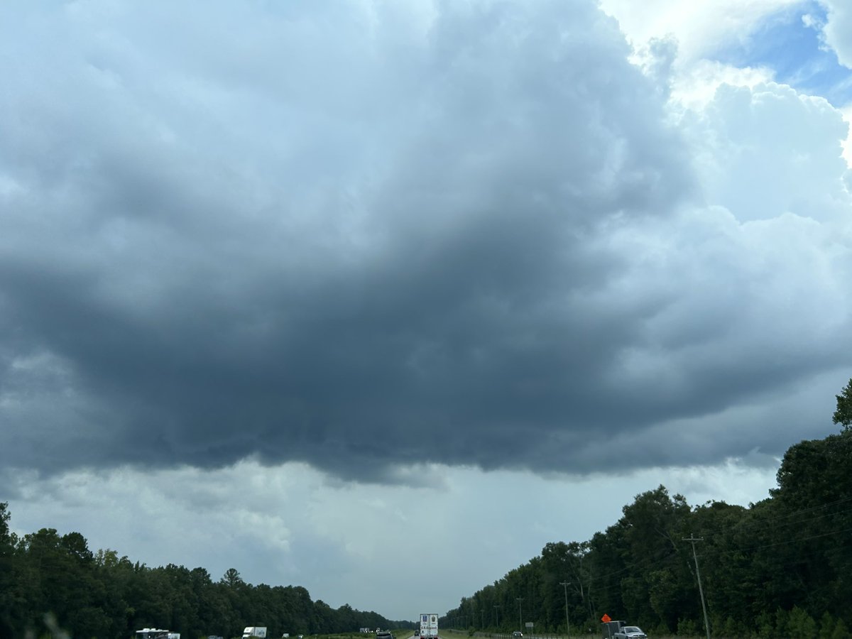 StormRider912's tweet image. Another incoming thunderstorm w/shelf overhead in Ridgeland, SC! Saw a beautiful scud short bit ago that came down with no rotation, couldn’t get pic. #SCwx #SCwxCond @NWSCharlestonSC @jnelsonWJCL @SheaGibsonWx @WSAVAlysaC @AndrewGortonWx @RadarScope @stormfrontfreak