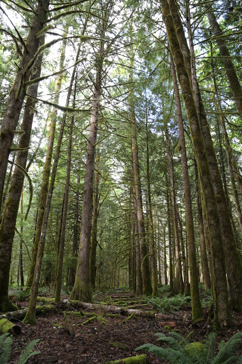 Skagit Tours tweet media