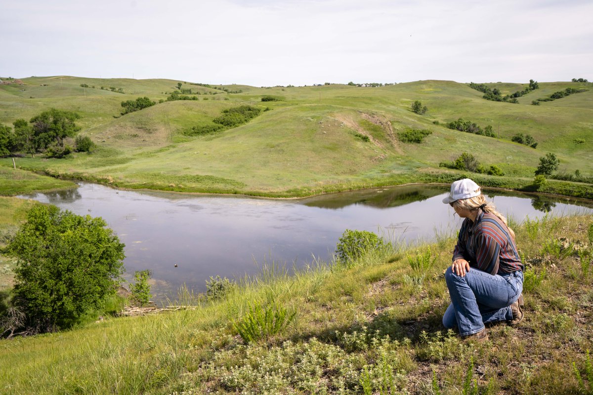 As we look to the next generation of producers, we continue to see our youth thrive in agriculture. Young Tribal producers are the third largest demographic for young producers under the age of 35, with more than 8,440 reported.  

#TribalAg #2022AgCensus