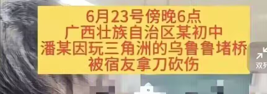夏紫萱小姐的小狗 tweet media