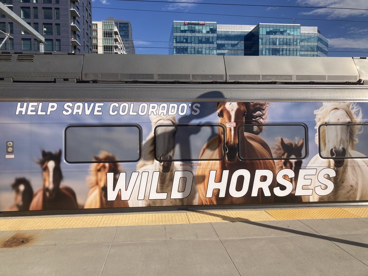 Mile High Moments (@milehighmoments) on Twitter photo Will the Denver Broncos bring back the "Wild Horses" formation in 2025 that they used in 2009 and 2018 with <a href="/knowshonmoreno/">Knowshon Moreno</a> and <a href="/I_CU_boy/">Phillip Lindsay</a>? The offseason additions of <a href="/Jkdobbins22/">Jk dobbins</a> and <a href="/rjharvey07/">RJ Harvey</a>, as well as this A Line train are encouraging them to do so. Will the Denver Broncos bring back the "Wild Horses" formation in 2025 that they used in 2009 and 2018 with <a href="/knowshonmoreno/">Knowshon Moreno</a> and <a href="/I_CU_boy/">Phillip Lindsay</a>? The offseason additions of <a href="/Jkdobbins22/">Jk dobbins</a> and <a href="/rjharvey07/">RJ Harvey</a>, as well as this A Line train are encouraging them to do so.