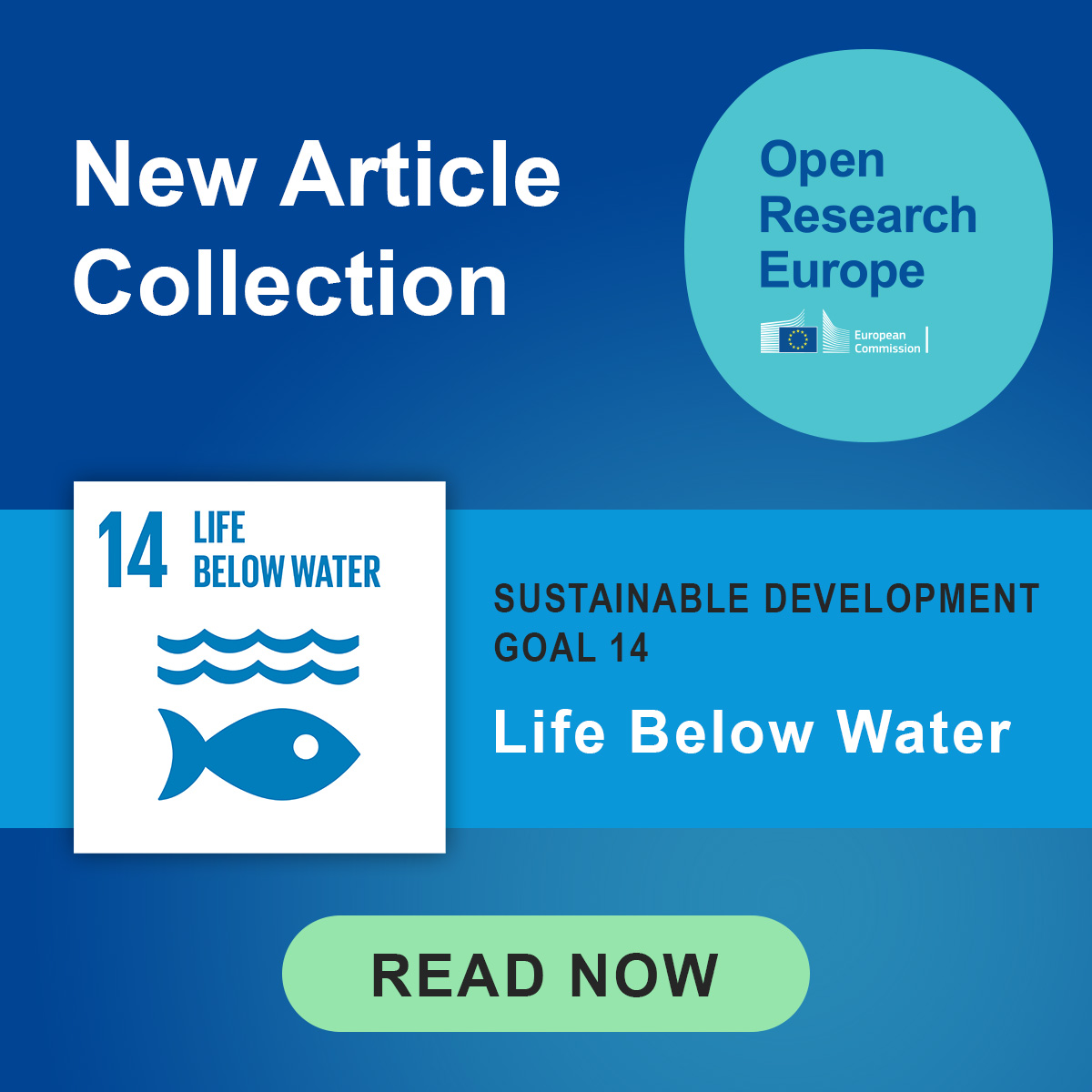 F1000 (@f1000) on Twitter photo With oceans providing food and livelihoods for over 3 billion people, the UNโs SDG-14 goal aims to ensure the long-term health of the worldโs oceans.
A recent blog post from <a href="/OpenResearch_EU/">Open Research Europe</a> highlights research on SDG-14.
๐ spr.ly/60164qelK With oceans providing food and livelihoods for over 3 billion people, the UNโs SDG-14 goal aims to ensure the long-term health of the worldโs oceans.
A recent blog post from <a href="/OpenResearch_EU/">Open Research Europe</a> highlights research on SDG-14.
๐ spr.ly/60164qelK