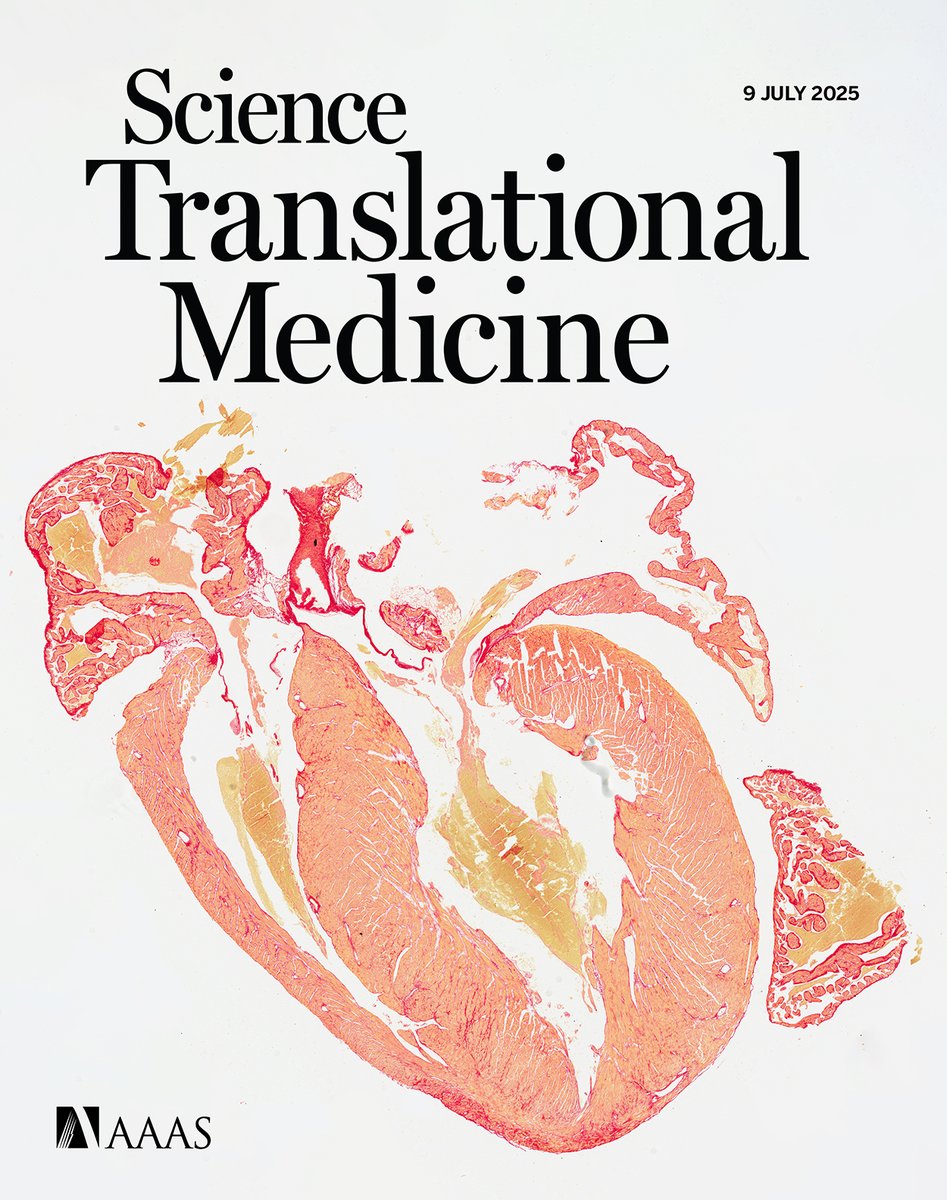 ScienceTM's tweet image. This week's issue of #ScienceTranslationalMedicine has arrived!
Flu vaccine boosters based on mRNA or adenoviral technology provide strong immunity against influenza in large animals, quinazolines show promise against Chagas disease in mice, and more. scim.ag/4eY4AKt