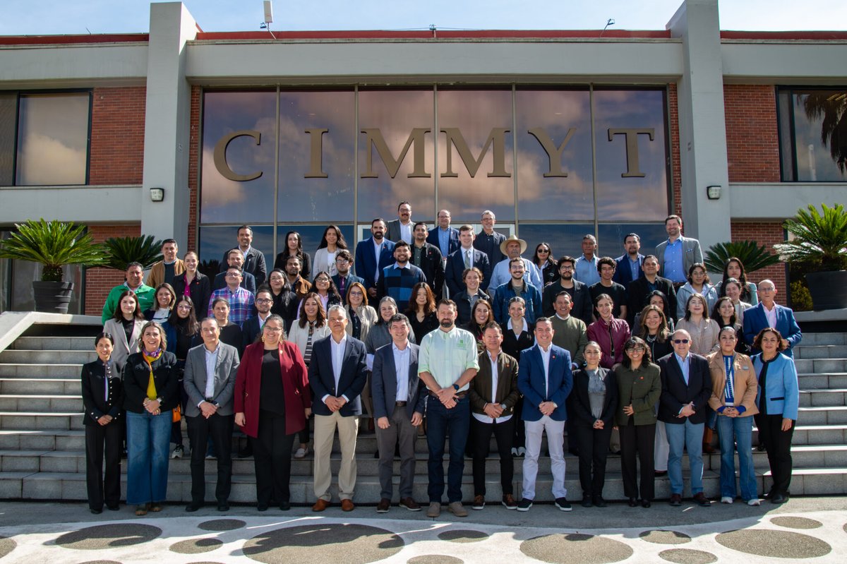 📢Exciting news! #IngredionMX is backing <a href="/CIMMYT/">CIMMYT</a>’s transformative fair trade approach to sustainably sourced maize. Together, we're scaling responsible sourcing, having traded over 100,000 tons of #yellowmaize🌽in just 2 years! Let’s keep up the good work! bit.ly/3TsD5yw