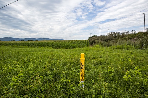 New York regulators are reexamining the Northeast Supply Enhancement #pipeline after previously denying permits. Williams' #gas project could reshape the state’s energy infrastructure as federal and state policies collide.

ow.ly/iL5J50Wmvw1