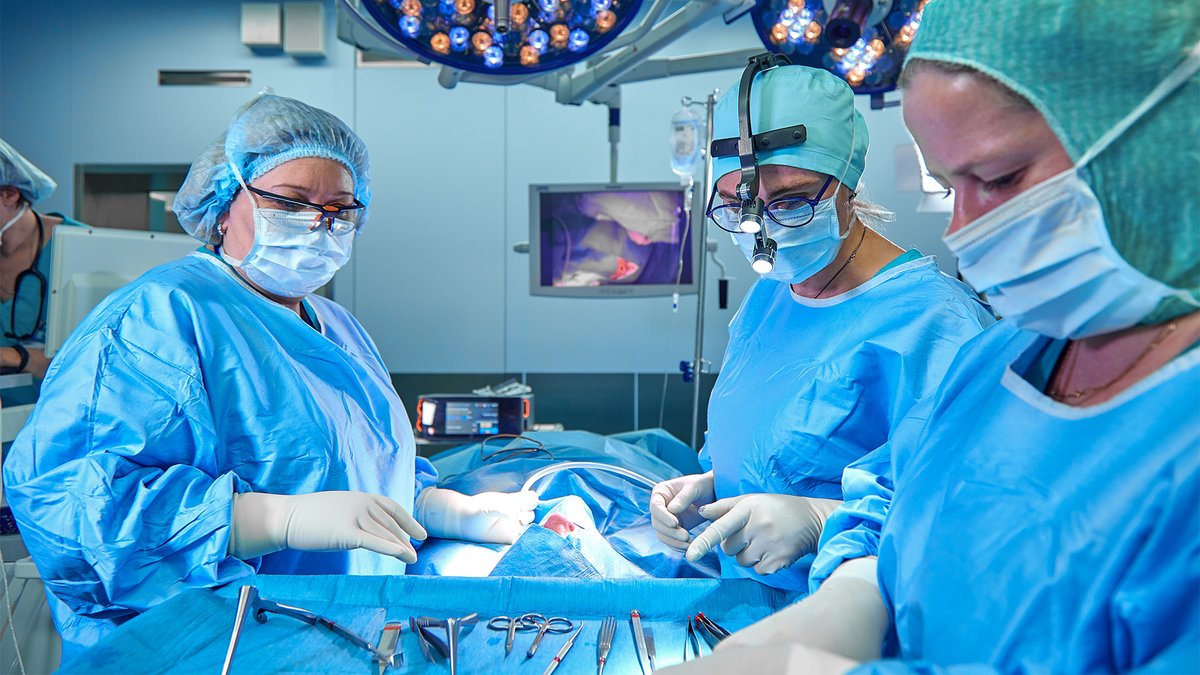 Mitral Annular Calcification: Assessment, Debridement, and Annular Support for Valve Replacement 

This excellent video from @HElgharablyMDdemonstrates a surgical approach to addressing severe MAC during MVR.  

🔗ow.ly/1e0150WmzYo

#cardiac #mac #debridement