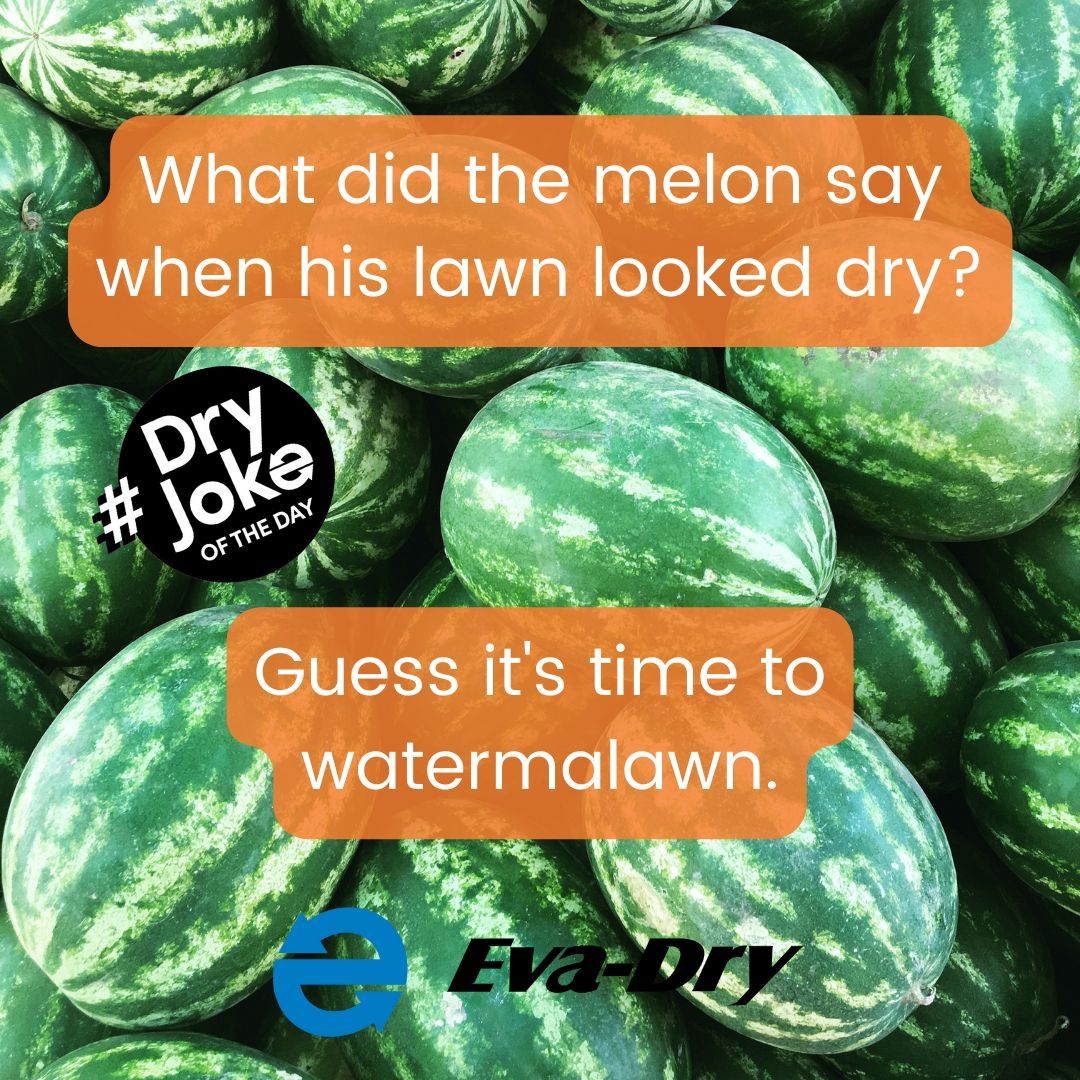 Eva_Dry's tweet photo. #DryJoke
Keep your summer snacks fresher longer with #EvaDry #dehumidifiers in your fridge and pantry to prevent excess #moisture. https://t.co/eC13FaAaEF