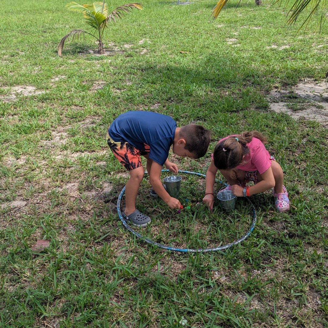 LoxRiverCenter's tweet image. Summer is FLYING by! We celebrated flying insects at Blooming in the Garden, learning about dragonflies and making suncatchers. Can&apos;t wait for next month&apos;s soil exploration! 🌼🦋 #BloomingInTheGarden #NatureFun #FamilyActivities