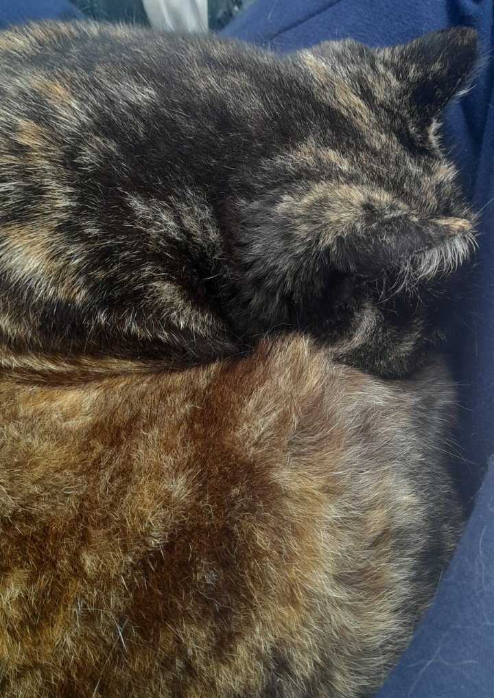 kneading me and it hurts but that's all fine and dandy