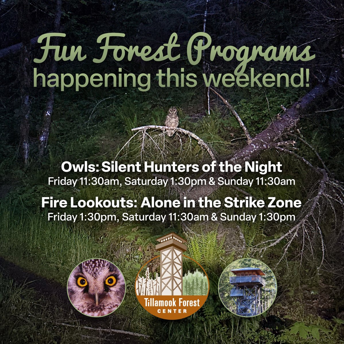 ORDeptForestry's tweet image. Looking for a fun and educational outing this weekend? Head to the Tillamook Forest Center for two programs offered Friday through Sunday, Owls: Silent Hunters of the Night and Fire Lookouts: Alone in the Strike Zone. For more info visit tillamookforestcenter.org/events