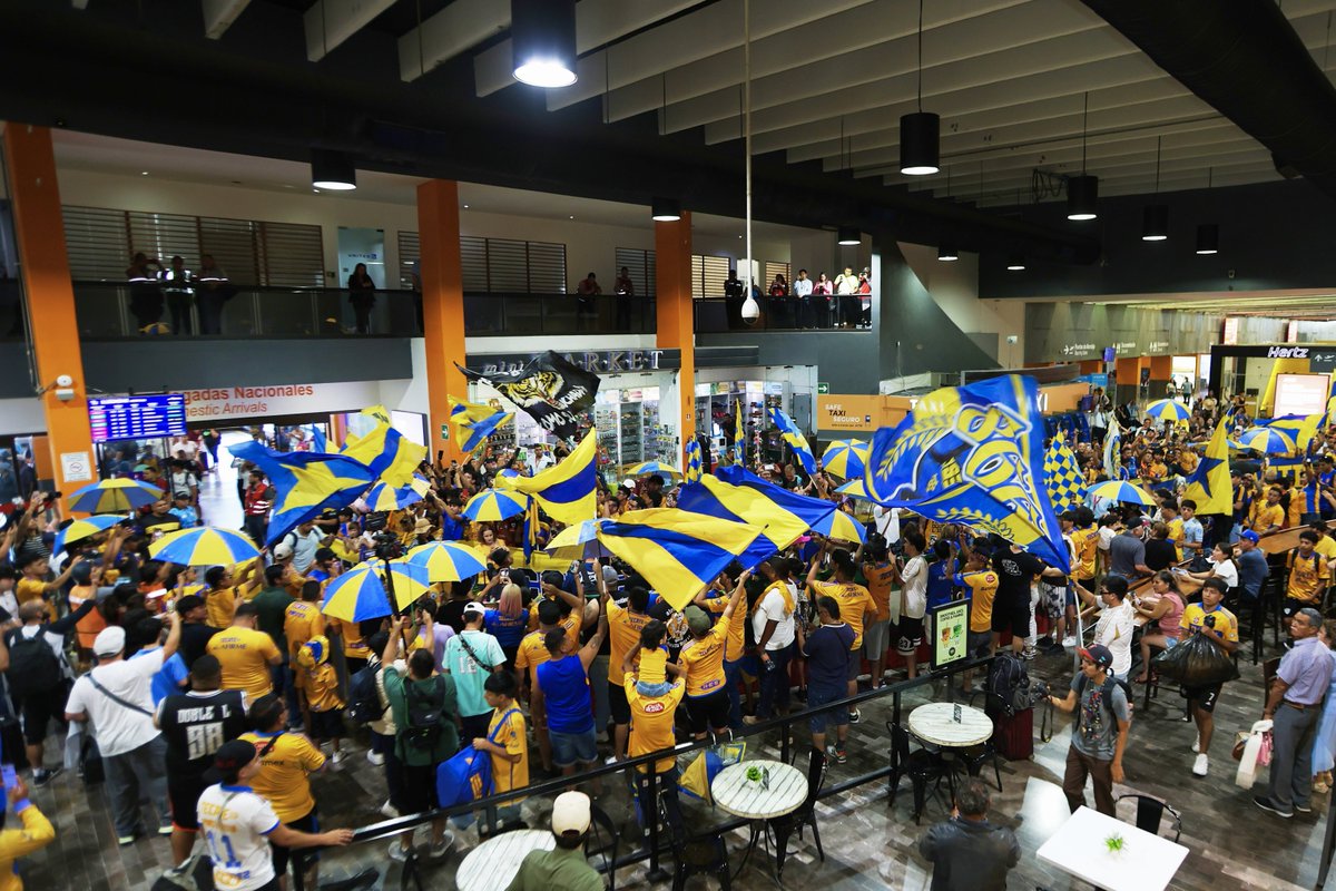 TigresOficial's tweet image. Angelito 💛🤝 Los Incomparables