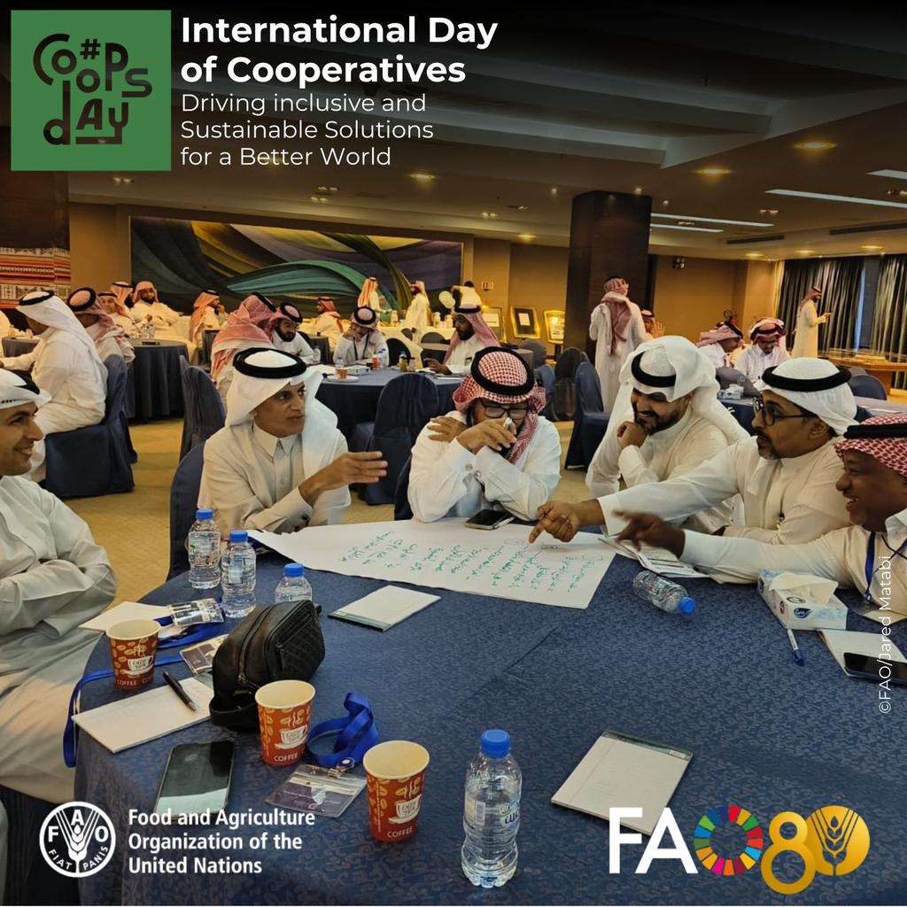 Dr.Salahideen Alhaj 🔸SDGs Gender Statistics (@salhaj) on Twitter photo -Gender-Sensitive Outreach: Embed inclusive methodologies to ensure women-led cooperatives are supported & scaled
7/
<a href="/EtecQiyas/">مركز قياس | Qiyas</a> <a href="/WLCorg/">مركز القيادات النسائية WLC</a> <a href="/UN_Women/">UN Women</a> <a href="/unwomenchief/">Sima Bahous</a> <a href="/adal_ipa/">أكاديمية تطوير القيادات الادارية</a> <a href="/Noorajrwi/">نورا الجروي Noora AL-Jarwi</a> <a href="/_PNU_KSA/">جامعة الأميرة نورة</a> <a href="/aishafarooqui7/">aisha farooqui</a> <a href="/miraat_imamu/">صحيفة المرآة</a> <a href="/now_org_sa/">المرصد الوطني للمرأة</a>
<a href="/DrHaddadNizar/">Nizar Haddad</a> <a href="/GCCStat/">المركز الإحصائي الخليجي</a> <a href="/UNESCWA/">ESCWA</a> <a href="/UNFPAGCC/">UNFPA - Gulf Cooperation Council</a> -Gender-Sensitive Outreach: Embed inclusive methodologies to ensure women-led cooperatives are supported & scaled
7/
<a href="/EtecQiyas/">مركز قياس | Qiyas</a> <a href="/WLCorg/">مركز القيادات النسائية WLC</a> <a href="/UN_Women/">UN Women</a> <a href="/unwomenchief/">Sima Bahous</a> <a href="/adal_ipa/">أكاديمية تطوير القيادات الادارية</a> <a href="/Noorajrwi/">نورا الجروي Noora AL-Jarwi</a> <a href="/_PNU_KSA/">جامعة الأميرة نورة</a> <a href="/aishafarooqui7/">aisha farooqui</a> <a href="/miraat_imamu/">صحيفة المرآة</a> <a href="/now_org_sa/">المرصد الوطني للمرأة</a>
<a href="/DrHaddadNizar/">Nizar Haddad</a> <a href="/GCCStat/">المركز الإحصائي الخليجي</a> <a href="/UNESCWA/">ESCWA</a> <a href="/UNFPAGCC/">UNFPA - Gulf Cooperation Council</a>