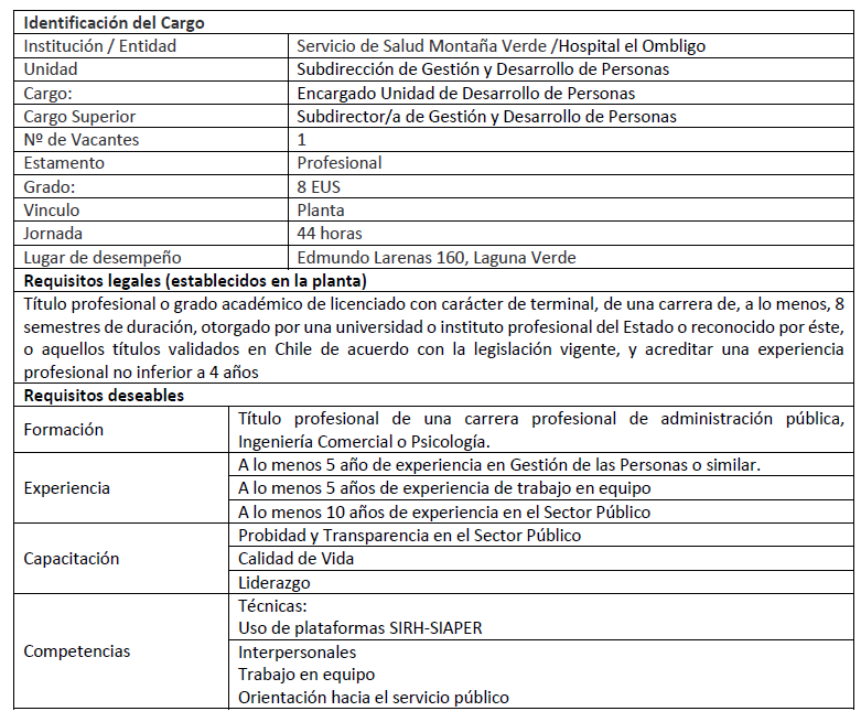 Parte de un perfil ficticio que se utilizará en el certamen de SAP de este jueves 10 de julio. Si esta imagen les llega a los/as estudiantes, podrán avanzar en lo que será la tabla de valoración de la 1ra fase (revisión curricular) del proceso de selección