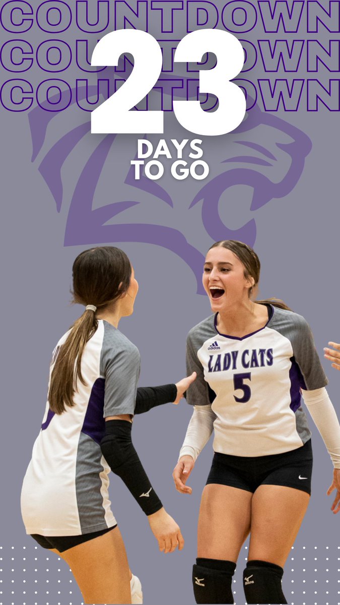 Elgin Wildcat Volleyball (@elginvball) on Twitter photo 🏐 23 Days Out
If you’re not sore, are you even trying? 
 We’re stacking days like blocks at the net.
 #23DaysOut #BuiltNotBorn #OTOTOF 🏐 23 Days Out
If you’re not sore, are you even trying? 
 We’re stacking days like blocks at the net.
 #23DaysOut #BuiltNotBorn #OTOTOF