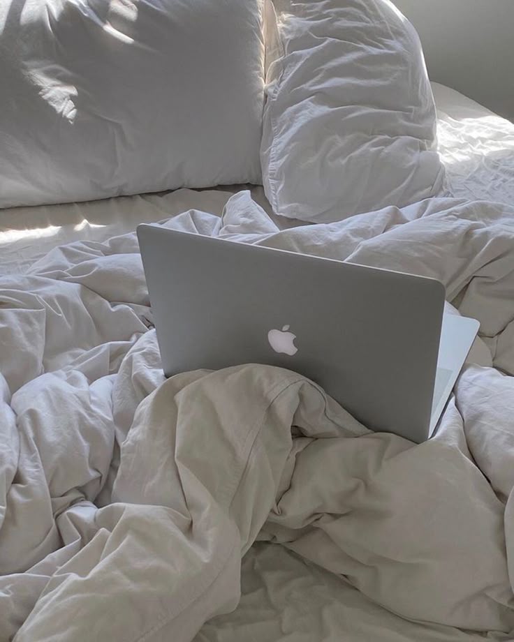 Redspectless's tweet image. ㅤ
ㅤ
ㅤ— Tᴇᴍᴘᴏʀᴀʀʏ ᴘɪɴɴᴇᴅ —
ㅤ
ㅤ