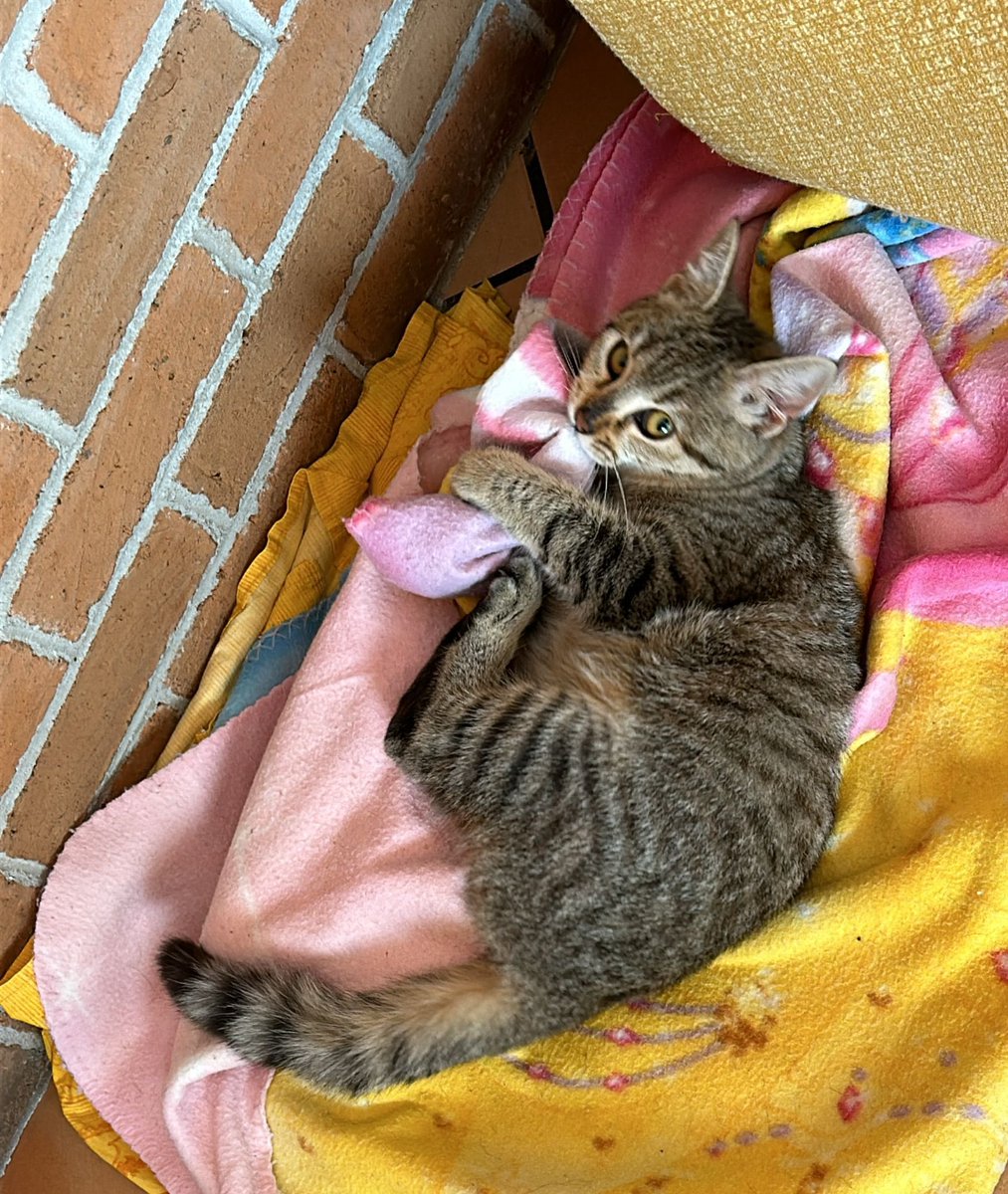 mi manchi tantissimo piccola mia farei qualsiasi cosa x riaverti con me🪽