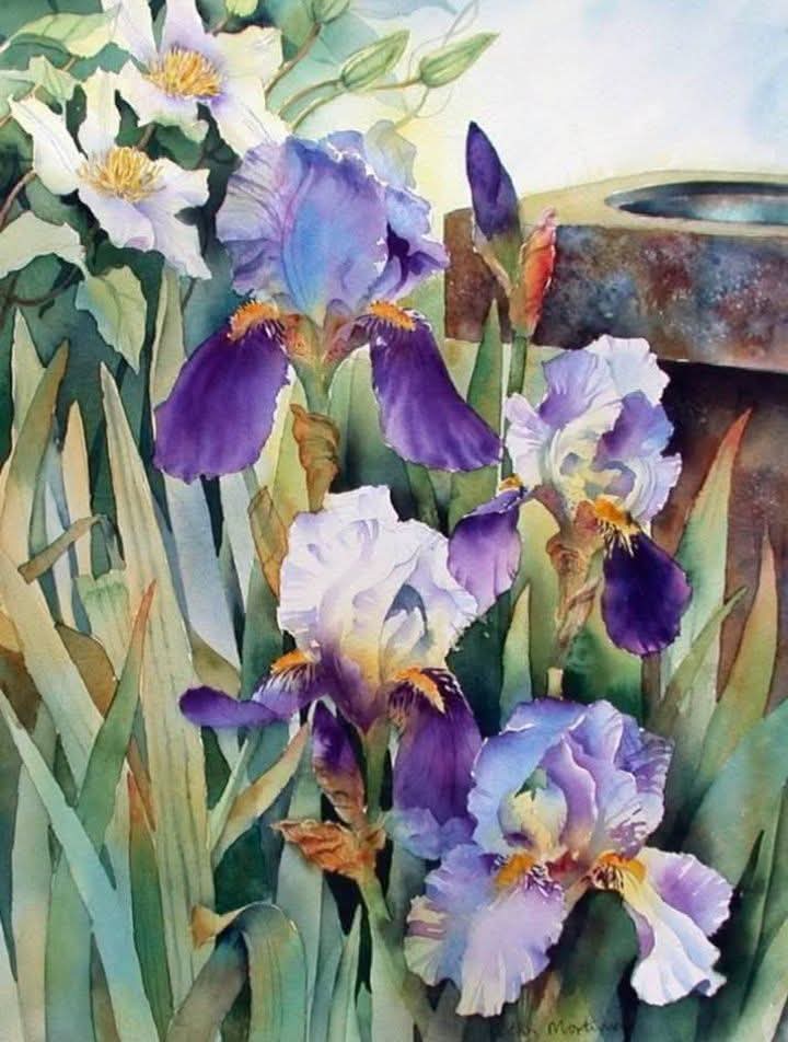 Ann Mortimer