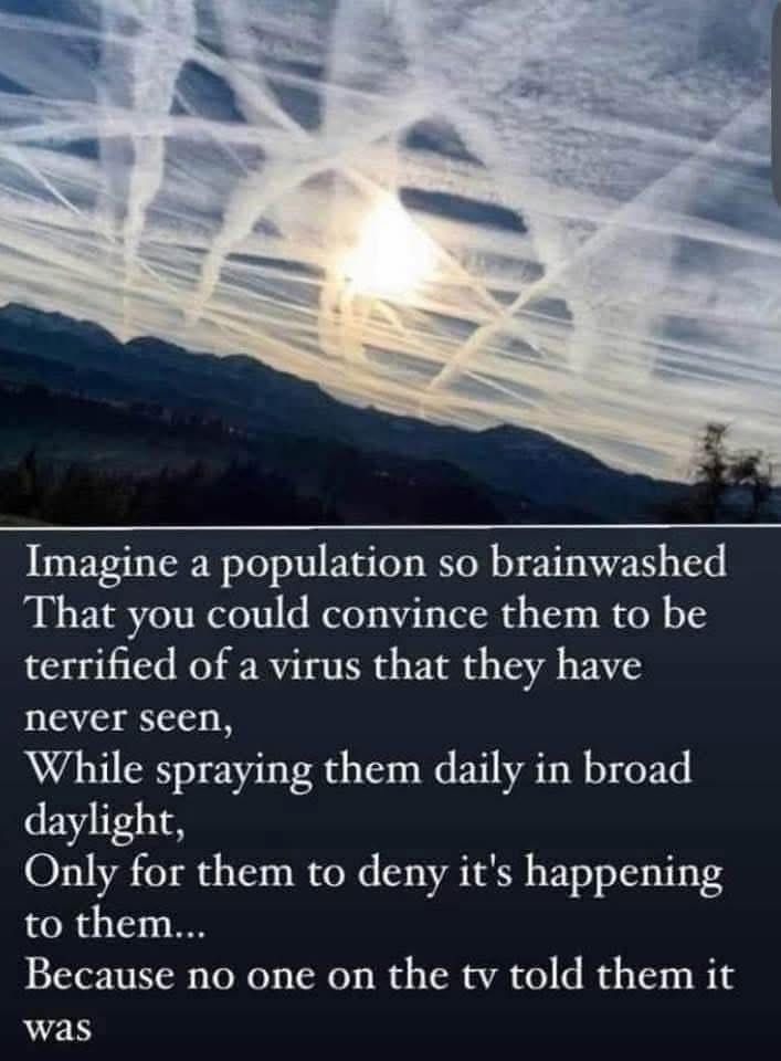 To the unvaccinated: 

They took your voice, but not your knowing. That lived quietly, and it lived on. 

Maximum respect. 🧠🌙