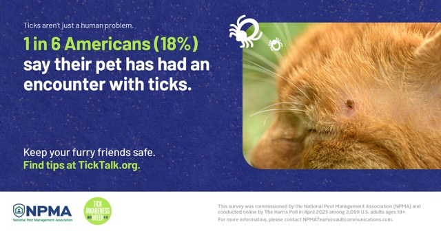 According to a recent report on Good Morning America, emergency room visits related to tick bites have reached their highest levels since 2019. To ensure the safety of your home and family, consider contacting High Priority Pest for professional tick control services.