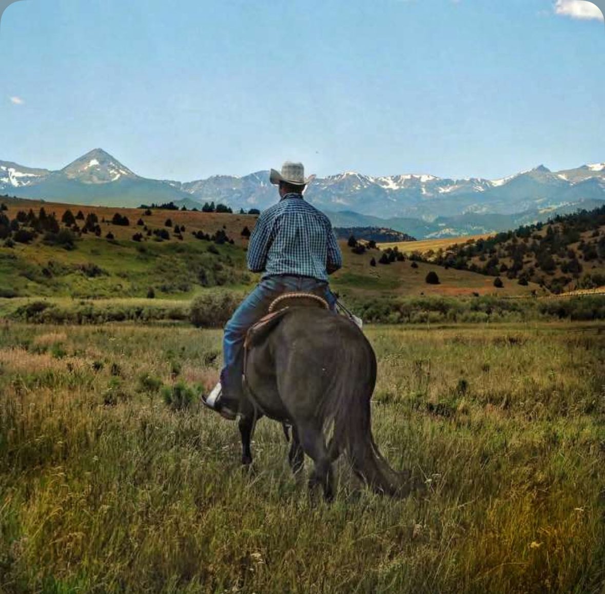 Jeremy_Rich12's tweet photo. God is good, got to saddle up on this beautiful Sunday!!ποΈπ€ ππ»
πΈ- @will1driscoll
#montana #cowboy #CircleRhorses #blessed #prohats #wrangler #ariatboots #god #longlivecowboys https://t.co/d2VWvQoHCP