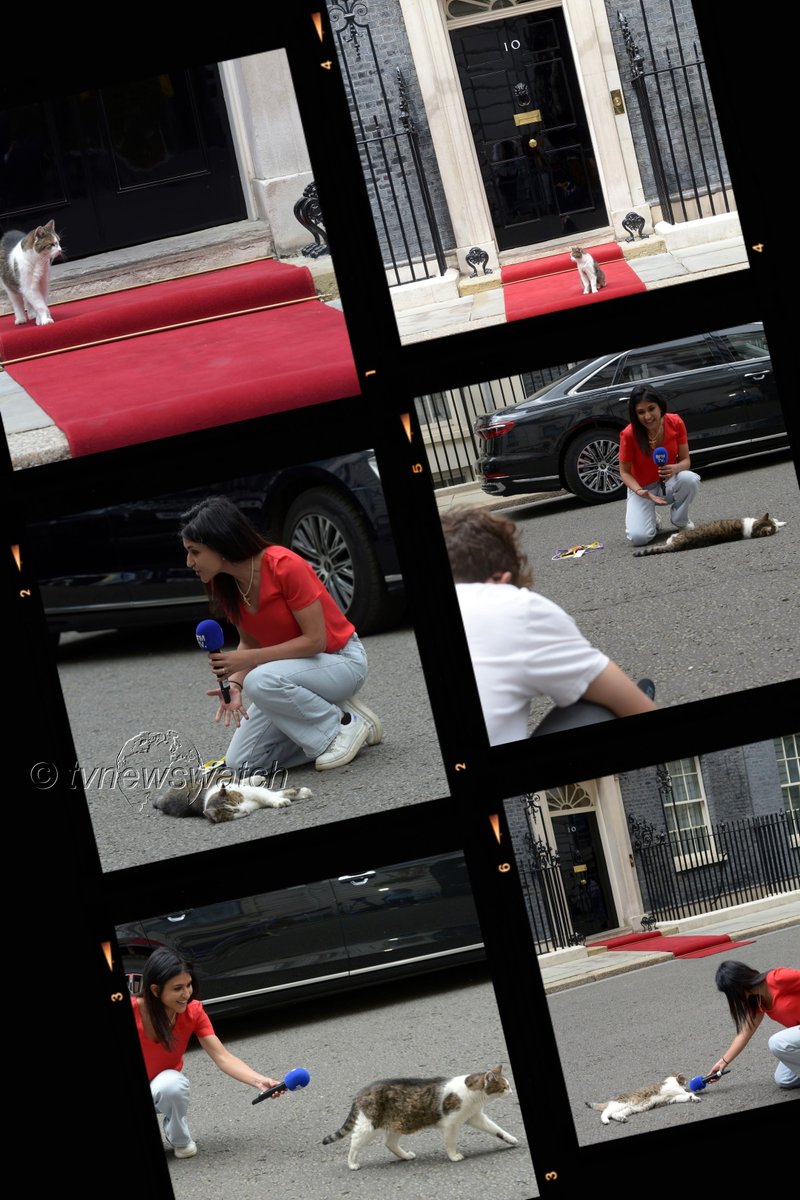 Larry the Cat takes to the red carpet ahead of <a href="/EmmanuelMacron/">Emmanuel Macron</a> state visit to Downing Street on Wednesday and interviewed by <a href="/LauraKalmus/">Laura Kalmus</a> from <a href="/BFMTV/">BFMTV</a>