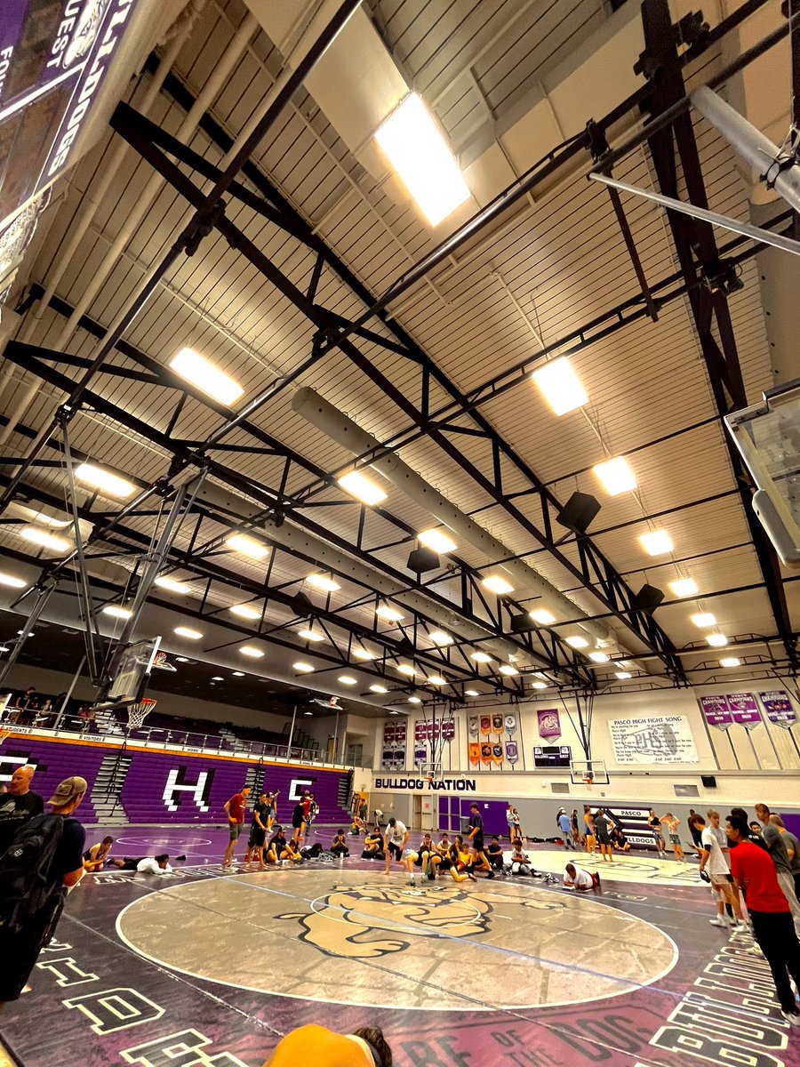 Finn1Devine tweet media