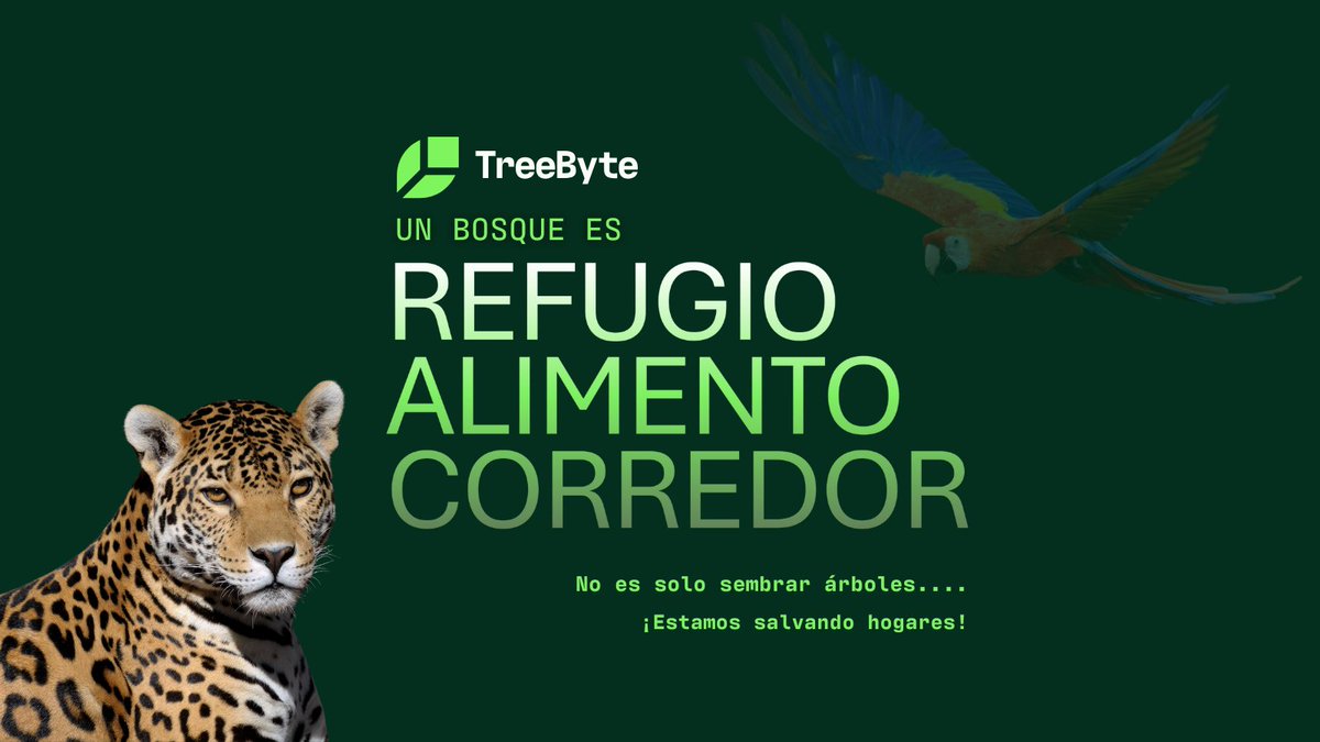 TreeByte tweet media