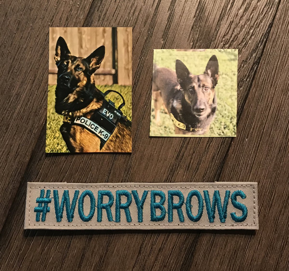 Love4PoliceDogs's tweet photo. My heart is heavy 🤍
Texas Retired K9 Evo, AKA #Worrybrows 
had an amazing career and an incredible home life full of love. Evo, your loss is a great one and I’m sending all my love to your beautiful family. Cancer is a bitch. https://t.co/zuaW5g2F45