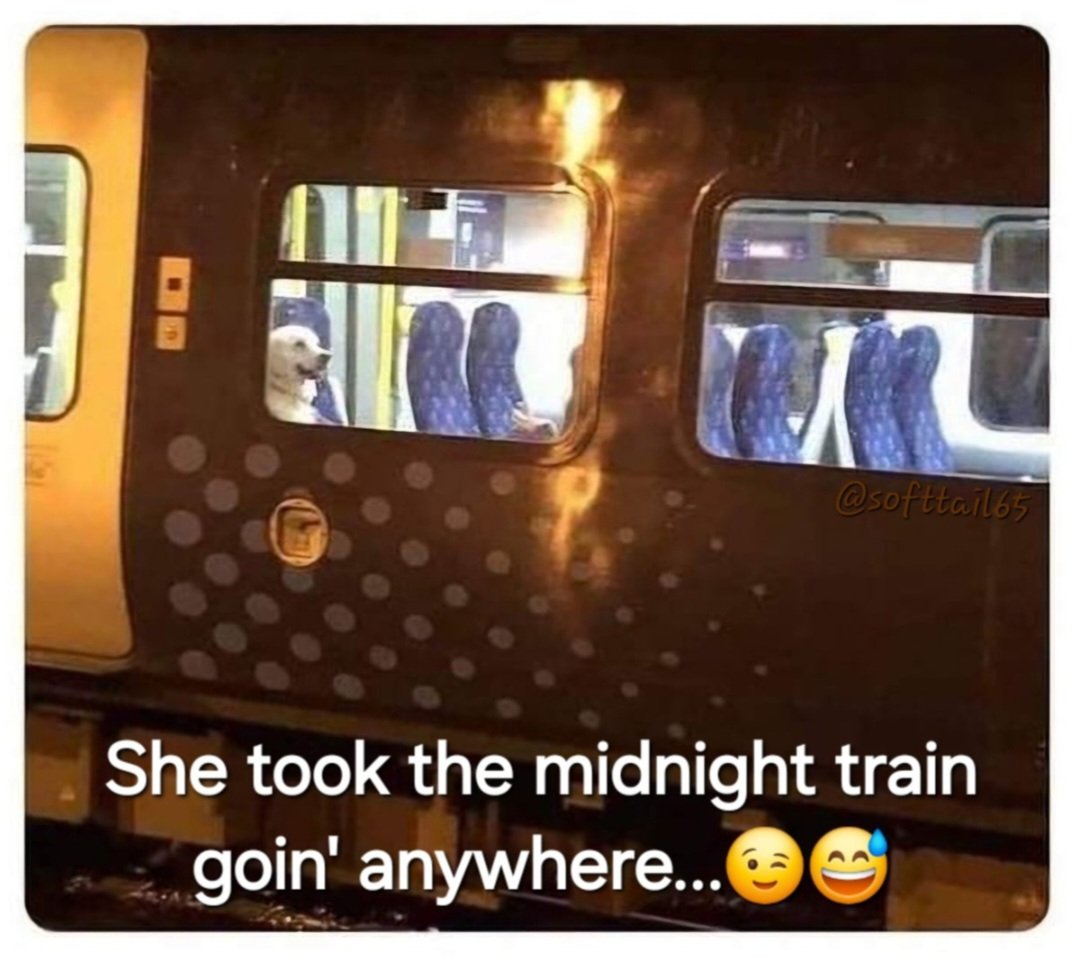 What other songs about Trains can you name? 🎶🚂 🎶