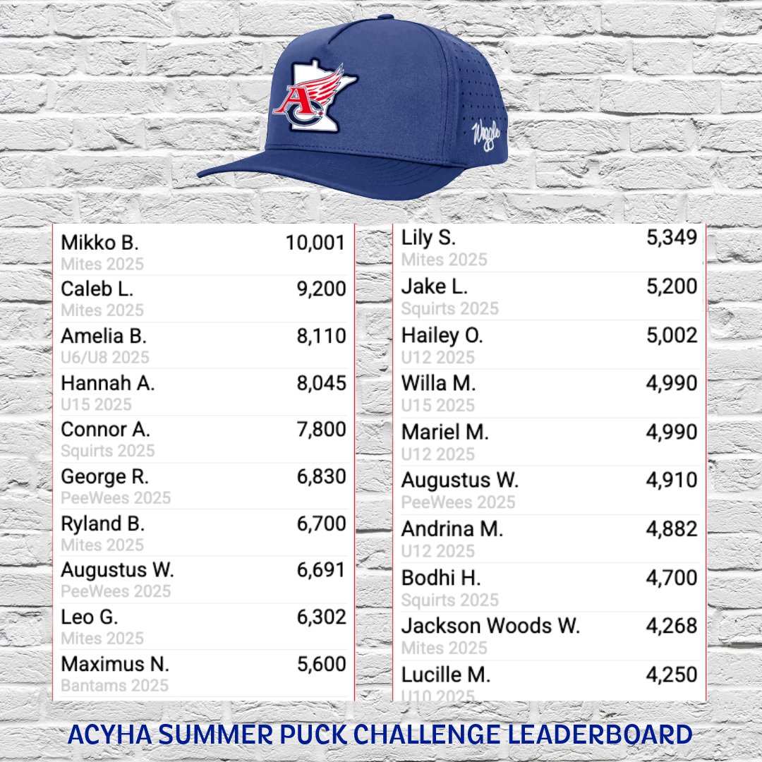 Our Summer Puck Challenge has seen an unprecedented spike in participation this summer as more than 80 Wings are working their way towards a custom AC <a href="/getyourwaggleon/">Waggle</a>

So far, we've shot over 200K, and about 20 Wings are halfway there or further. Keep up the great work Wings!!!