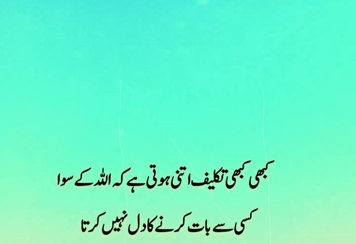 SHAHZAD (@shahzad486548) on Twitter photo 