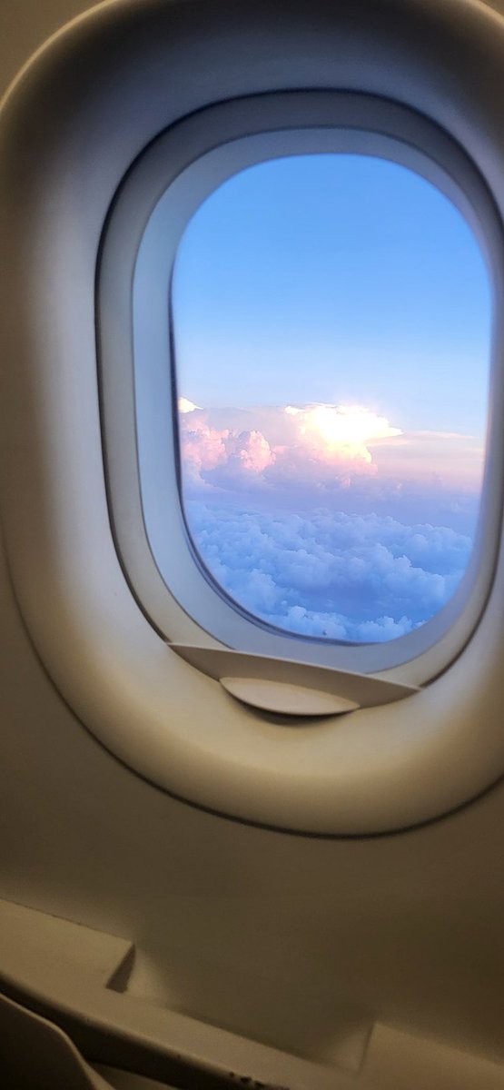 _TaylorNF's tweet image. Hello texas 🤭