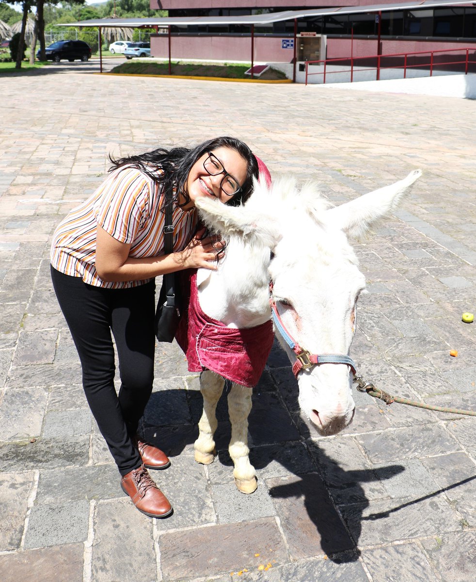 CISEGLab's tweet image. Bienvenidos alumnos de nuevo ingreso. Los esperamos en la materia insignia de Ciberseguridad  los lunes y miércoles de 8:00 a 10:00 Hrs., en el aula C001.  Alumno
@CIC_IPN_OFICIAL
Alumno CIC acude a DTE y regístrala. 
Alumno de Movilidad visita cic.ipn.mx