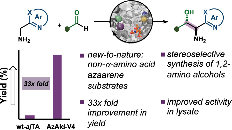 EnzymeChemistry's tweet image. Profiling of Diverse Pyridoxal-5′-Phosphate Dependent #Enzymes by Kendrick Smith, Madeline Arbuckle, Alexander Kim, Chun-Yi Tsai, John McIntosh, Deeptak Verma, @EunjaeShim1, Alison Narayan @NarayanLab @MichiganChem in @J_A_C_S pubs.acs.org/doi/10.1021/ja…