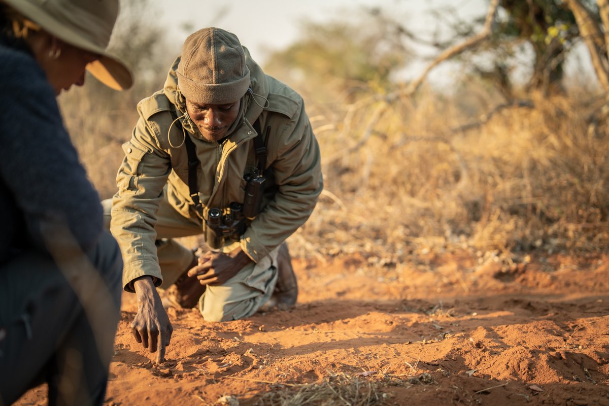 Ubuntu Travel Group tweet media