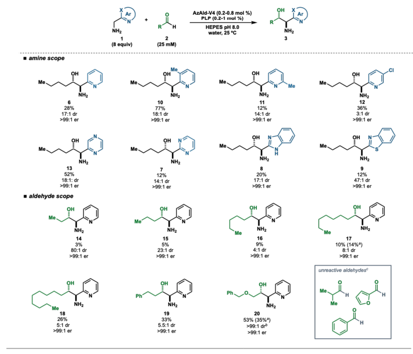 EnzymeChemistry's tweet image. Profiling of Diverse Pyridoxal-5′-Phosphate Dependent #Enzymes by Kendrick Smith, Madeline Arbuckle, Alexander Kim, Chun-Yi Tsai, John McIntosh, Deeptak Verma, @EunjaeShim1, Alison Narayan @NarayanLab @MichiganChem in @J_A_C_S pubs.acs.org/doi/10.1021/ja…