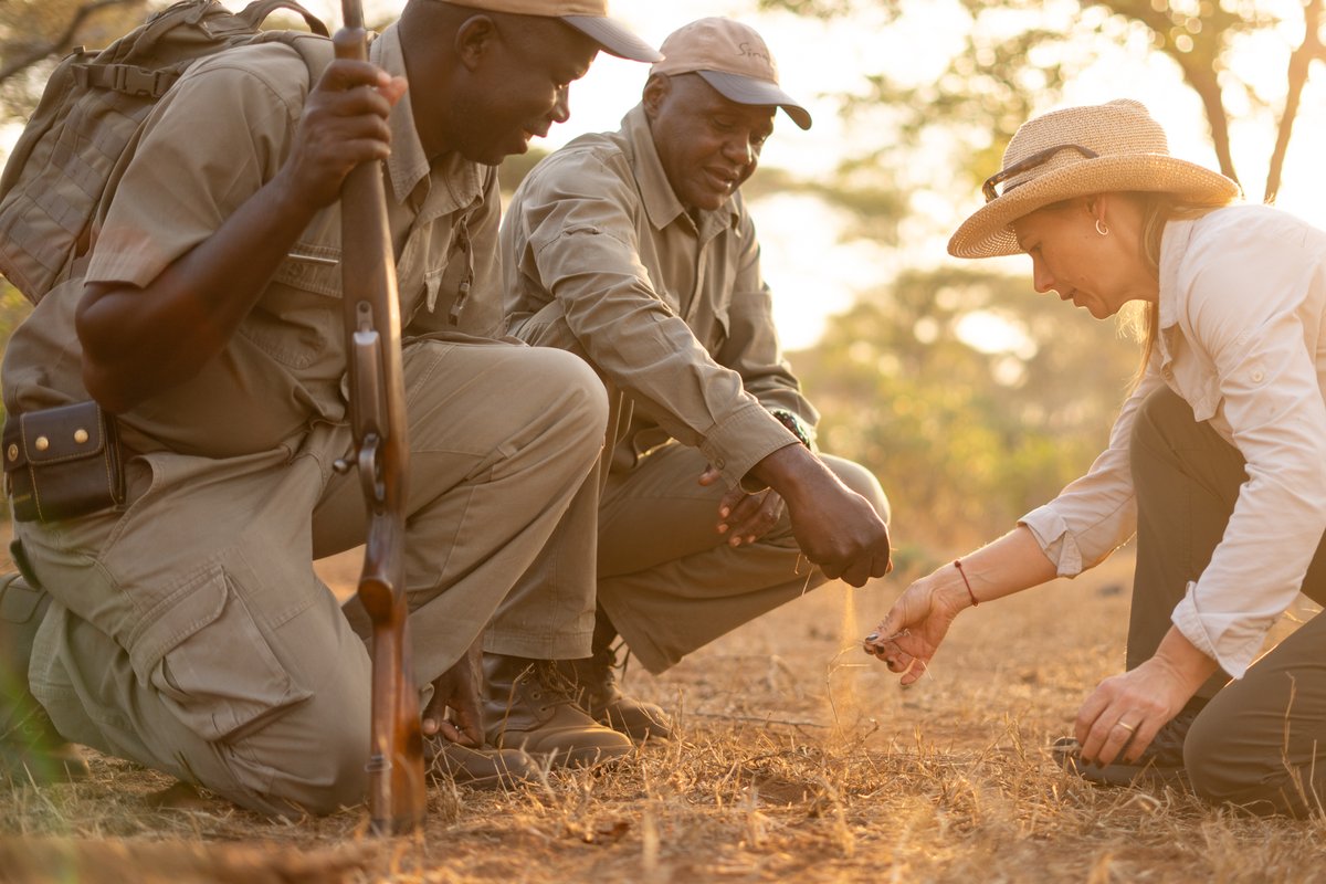 Ubuntu Travel Group tweet media