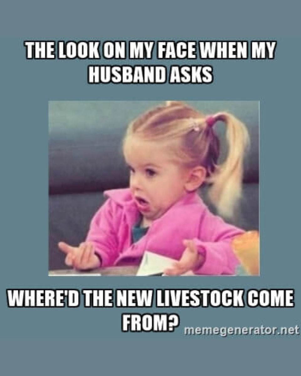 Don't ask questions you don't want the answers to... 😅

#LivestockProducer #RanchLifestyle #RanchWife