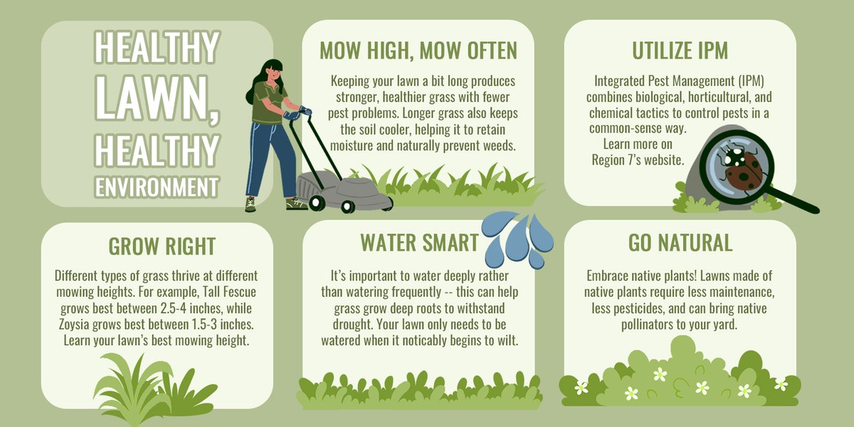 A beautiful lawn doesn’t have come at the price of the environment!

Use these five tips to have a good-looking, environmentally-friendly yard.