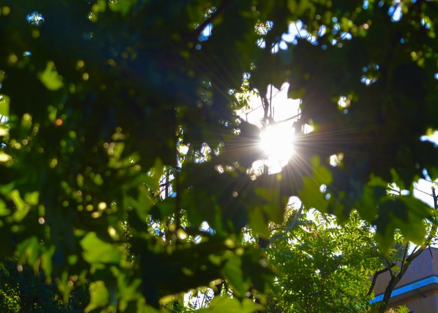mujirel's tweet image. Let the light in, Let the day be